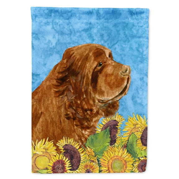 Carolines Treasures SS4143-FLAG-PARENT Sussex Spaniel Flag multicolor