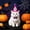 C, variant on Halloween Witch Pet Cone Hat, Adjustable Elastic Felt Party Hat for Cats Small Dogs, Purple Pom-pom Funny Pet Cosplay Costume Accessory, Holiday Photo Booth Prop