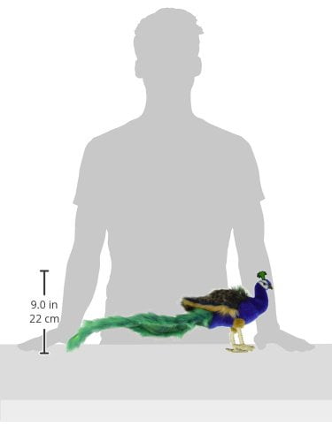 hansa peacock