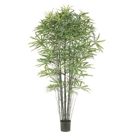 Pack of 2 Decorative Aralia Bamboo Trees with Round Pots 7'