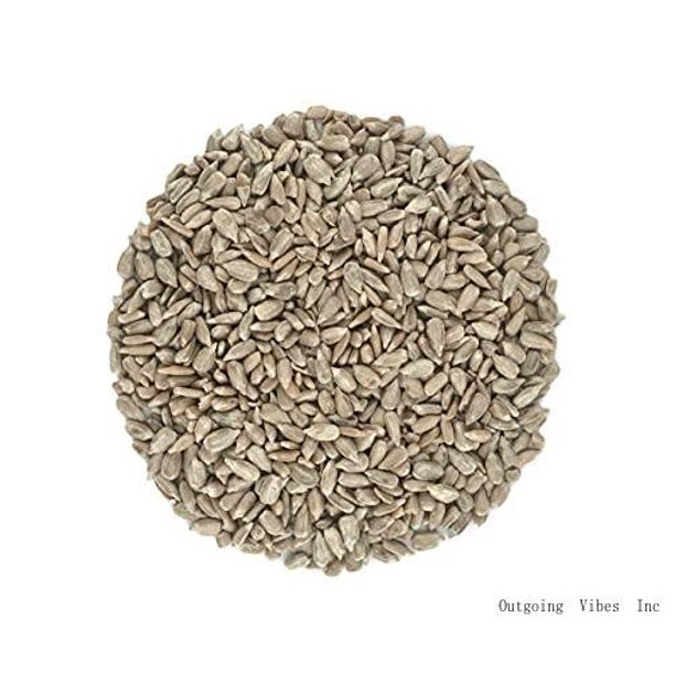 organic sunflower seedskernelshulled nongmo unsalted keto vegan (5lb