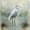 White Beige, variant on Erosebridal Watercolor Bird Animals Twin Comforter Sets,Rustic Branch Bedding Set,White Blue,Reversible,2pcs,1 Comforter and 1 Pillowcase