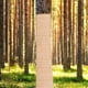 thumbnail image 3 of Rollo de tela de arpillera para protección del tronco de árbol en invierno, cubierta contra heladas, envoltura de plantas de jardín para reparación de corteza de árbol y protección de ciervos, 3 of 8