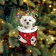 thumbnail image 3 of Christmas Dogs Ornament Christmas Acrylic Funny Dog Christmas Stocking Animal Ornament RED Schnoodle In Snow Pocket Christmas Ornament Christmas Decoration, 3 of 5