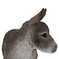 View all media