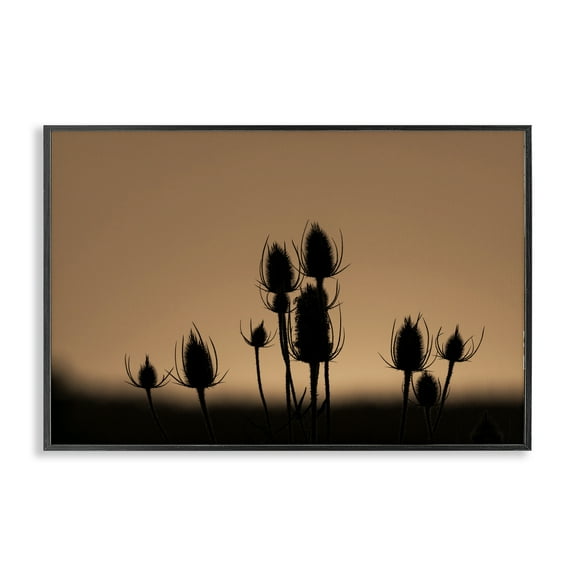 Stupell Industries Botanical Sprigs Silhouettes Plants & Flowers Photography Black Framed Art Print Wall Art, 18 x 12