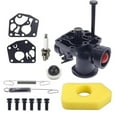 thumbnail image 1 of 795477 Carburador 691859 692211 Resorte del gobernador 698369 Filtro para Briggs & Stratton 795469 794147 6996, 1 of 1