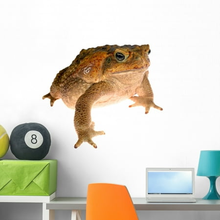 Cane Toad Giant Marine Wall Mural Decal by Wallmonkeys Vinyl Peel and Stick Graphic (36 in W x 27 in H)