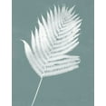 thumbnail image 2 of Rhue, Piper 26x32 White Modern Wood Framed Museum Art Print Titled - Nature by the Lake Ferns III Gray Mist Crop, 2 of 4