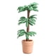 thumbnail image 1 of Casa de muñecas en miniatura, árbol de dinero, madera brasileña, escala 1:12, 1 of 3