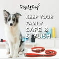 thumbnail image 5 of Regal Dog Products Reflective Standard Collar and 5ft Leash Set, 5 of 8