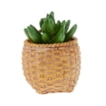 thumbnail image 4 of Adorno Hogar Artificial Baoblaze Pntas Flores de Folje Verde, 4 of 5