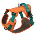 thumbnail image 2 of Didog Reflective Nylon Dog Harness No Pull Padded Vest with Handle for Small Large Dog, 2 of 8