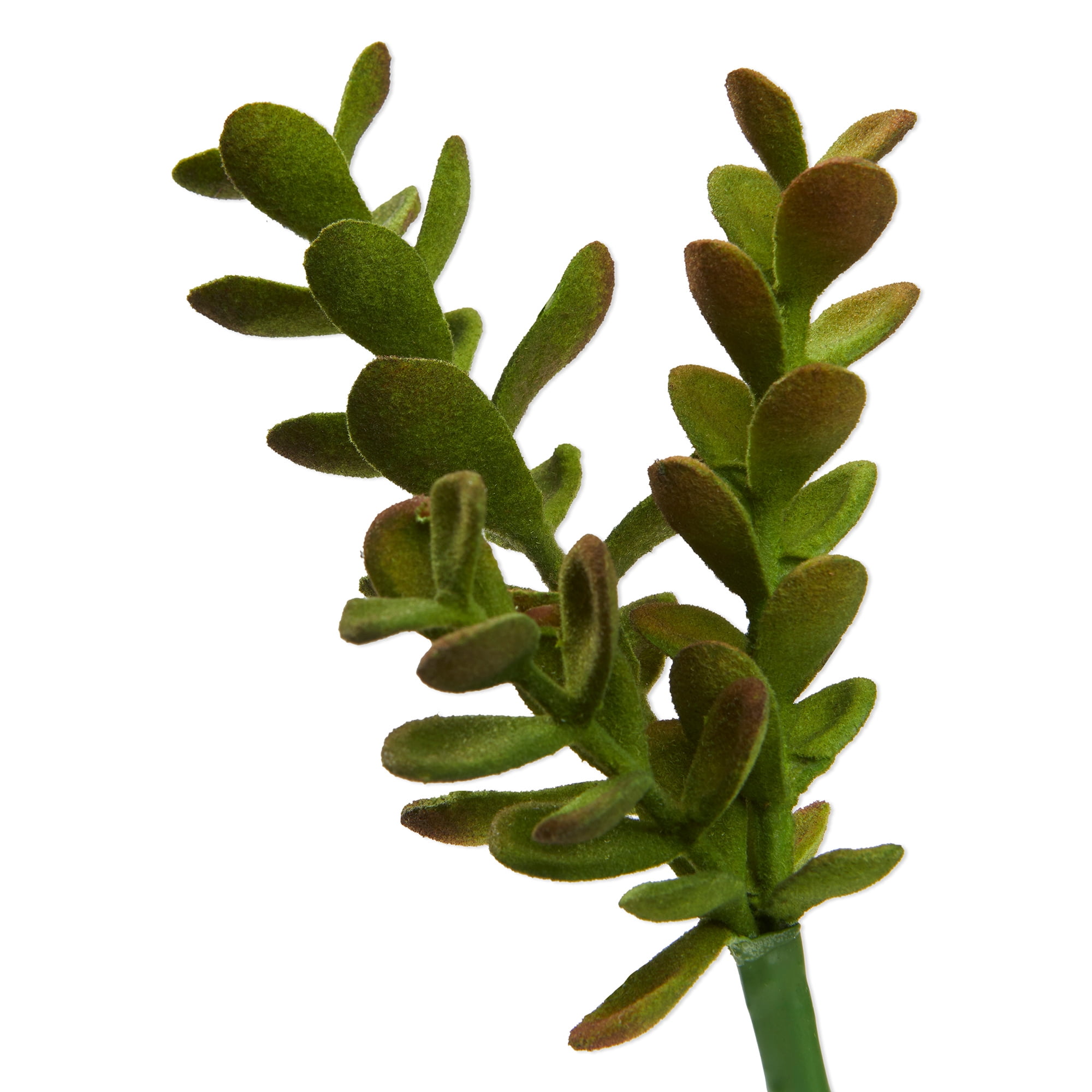 (2 pack) Mainstays Artificial Succulent Pick 4 inch x 7.5 inch Green