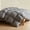 Grey, variant on URBANLIFE Goose Down Fiber Comforter California King Size, Feather Down Fiber Comforter, All Season Luxury Hotel Collection Duvets & Down Comforters, Soft Breathable, 106 x 96 Inch, White