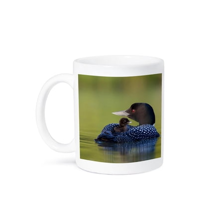 British Columbia, Common Loons-Cn02 Glu0001 - Gary Luhm, 11oz Mug