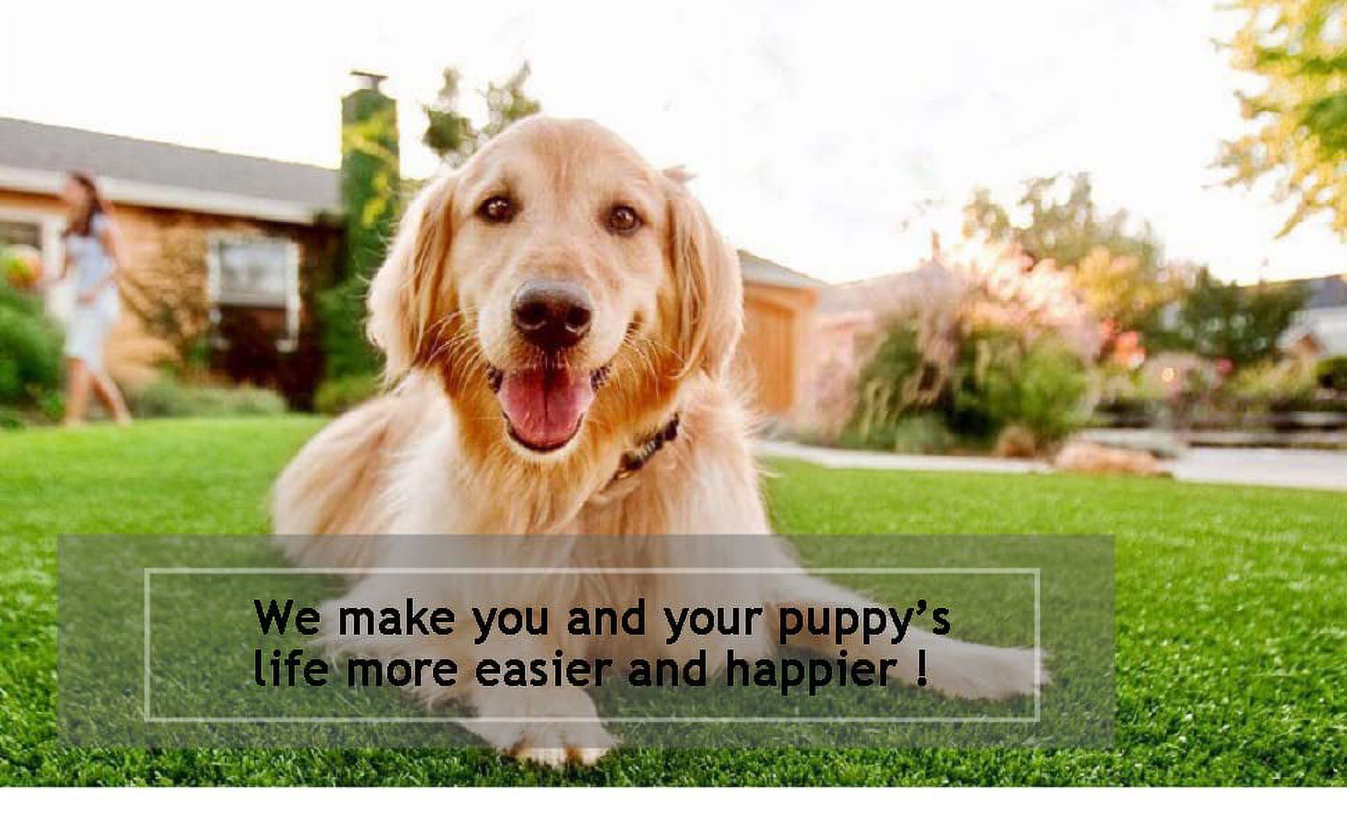 Qpets Professional Dog Grass Mat 3' x 6.6 inch, Artificial Turf Has Drainage, Green
