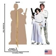 thumbnail image 4 of Advanced Graphics  70 x 32 in. Luke & Leia - Star Wars 40th Cardboard Standup, 4 of 4