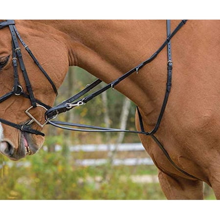 Shires German Martingale Havana XFull