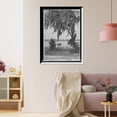thumbnail image 3 of Historic Framed Print, Glimpse of Lake Eola, Orlando, Fla., 17-7/8" x 21-7/8", 3 of 9