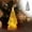 *YY New-Yellow, variant on Christmas Tree Light Up, Acrylic Christmas Tree with LED Lights, Christma Tree Snow Globe Tabletop Decor for Xmas Decoration Indoor Home Party Supplies