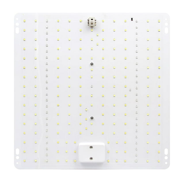 Graflsoa Lumière LED à Spectre Complet pour Plantes d'Intérieur, Succulentes et Semis avec Prise US - Taille Compacte pour Usage Domestique