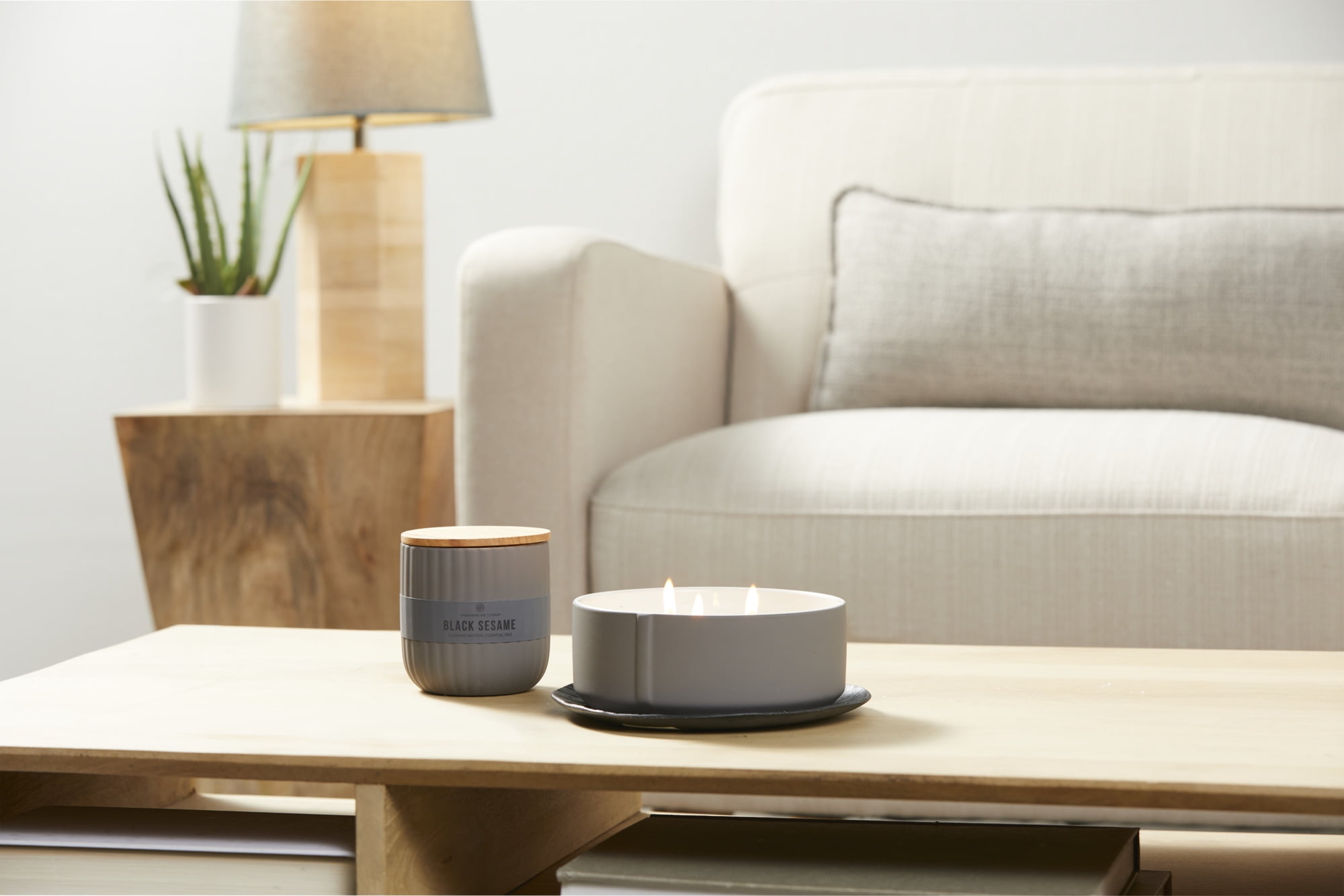 Chesapeake Bay Candle Minimalist Collection Black Sesame - 10.1oz Soft-Touch Medium Ribbed Jar Candle
