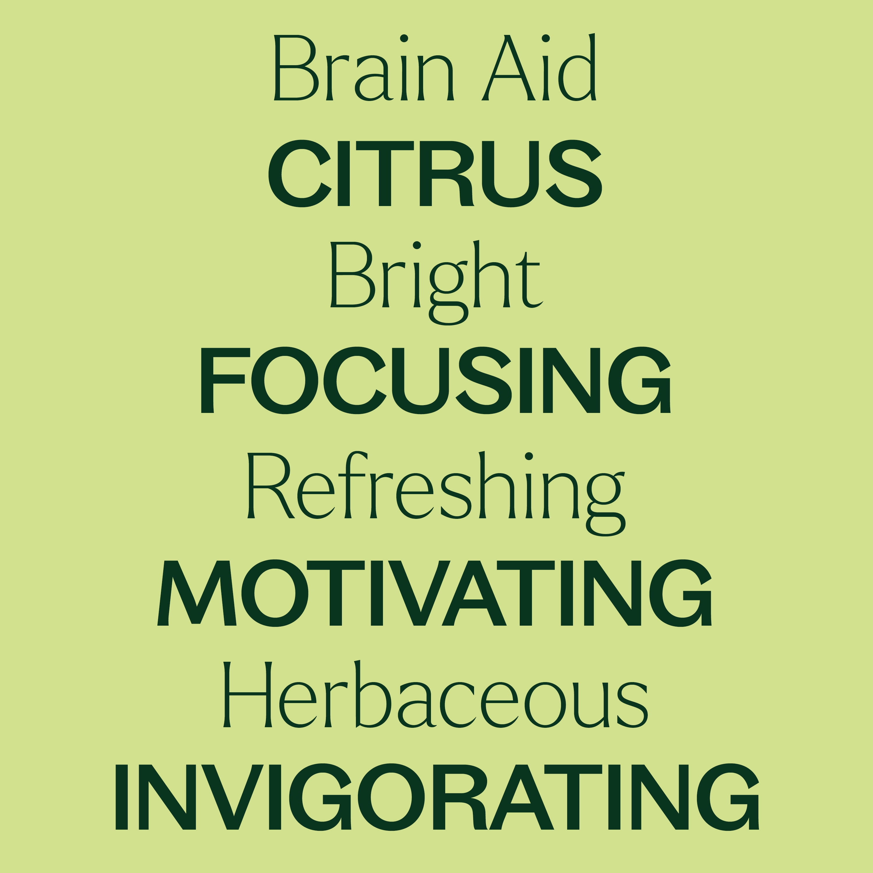 Plant Therapy Brain Aid Essential Oil Blend for Focus & Attention 100% Pure, Undiluted, Natural Aromatherapy 30 mL (1 oz)