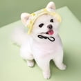 thumbnail image 2 of Dalrosia Dog Hat with Ear Holes Sunscreen Baseball Caps Hats Outdoor Bucket Hat Sun Protection Dog Bonnet for Small and Medium-Sized Dogs, 2 of 6