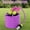 Purple, variant on Water Sprinkler Jump Rope Toys, Outdoor Yard Toy for Kids, 26FT Outdoor Water Jump Rope Toys with 12 Spray Holes, Fun Play Team Game for Backyard, Yard, Park & Summer Party - Purple