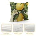 thumbnail image 4 of Qinduosi Lemon Summer Fruit Outdoor Style Pillow Cover Home Decorative Throw Pillow Case Square Cushion Covers (Summer Lemon) White, 4 of 5