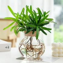 Raindrops Hydroponics Plant Small Ball Vase Container Tabletop Terrarium