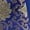 Blue, variant on Women’s Anne Boleyn Tudor Queen Dress Renaissance Elizabethan Ball Gown Set