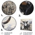 thumbnail image 3 of Designart "Portrait of Grey and White Yaks I" Animals Metal Wall Decor, 3 of 5