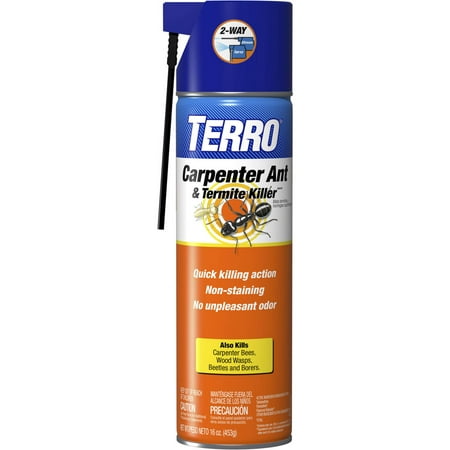 TERRO Carpenter Ant and Termite Killer Aerosol (Best Carpenter Ant Killer)