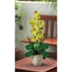 Nearly Natural 1016-GR Phalaenopsis Soie Orchidée Arrangement de Fleurs, Vert – image 2 sur 2