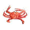 thumbnail image 3 of Vess, June Erica 18x15 Black Modern Framed Museum Art Print Titled - Crab Cameo IV, 3 of 5
