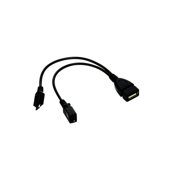 DSYJ Micro USB Host OTG Câble avec Alimentation Micro USB pour Samsung S7 Edge, S6 Edge, S5, S4 & Nexus 10 9 7 4 Player + Tous les Autres 2 Pack