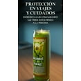 thumbnail image 4 of Veladora Arcángel Rafael Aroma Sanación Fe Y Protección Verde Claro Arcángel Rafael Aromática, 4 of 5