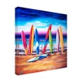 thumbnail image 2 of Trademark Fine Art 'Surf Surfect 2' Canvas Art by Deborah Broughton, 2 of 3