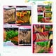 thumbnail image 2 of Letreros de bambú desechables Letreros artísticos de frutas Adornos de cócteles de cactus Letreros de bambú con flamencos, 2 of 5