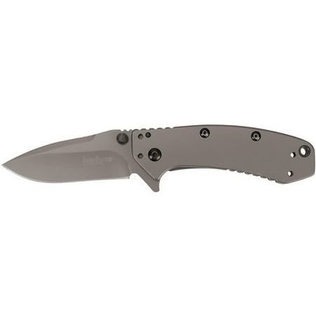 Kershaw Cryo Pocket Knife; 2.75” 8Cr13MoV Steel Blade and Stainless Steel Handle with Titanium Carbo-Nitride Coating, SpeedSafe Assisted Opening, Frame Lock, 4-Position Deep-Carry Pocketclip; 4.1 (Best Daily Carry Knife)