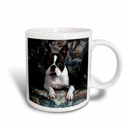 3dRose Boston Terrier Philippe, Ceramic Mug,
