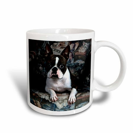 - 3dRose Boston Terrier Philippe, Ceramic Mug, 11-ounce