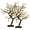 0.45m 48-LED bent pole cherry blossom tree, variant on Artificial Bonsai Tree Lighted Tabletop Fake Plant with LED Lights