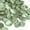 Sage Green, variant on PrimeCook Shop 300pcs Rose Petals Sage Green Faux Silk Flower Petals for Wedding Flower Girl Basket Aisle Scatter Dinner Table Centerpieces Party Confetti Bridal Shower Romantic Night Decoration