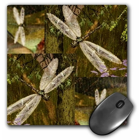3dRose Dragonflies Graphic Design Dragonflies, Mouse Pad, 8 by 8