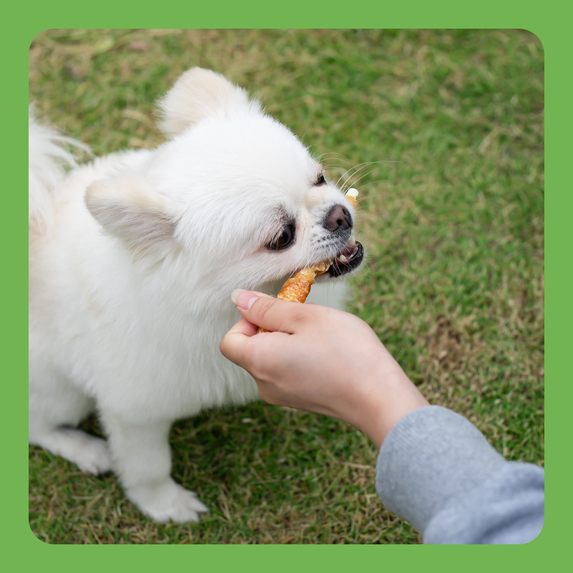 MON2SUN Dog Treats, 5 inch Rawhide Twist Chicken Hide Sticks, Suitable for Puppy and Small Dogs, 14 oz