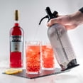 thumbnail image 2 of iSi North America Soda Siphon Classic Mesh Sodamaker for Making Carbonating Beverages, 1 Quart, Stainless Steel,Silver, 2 of 3