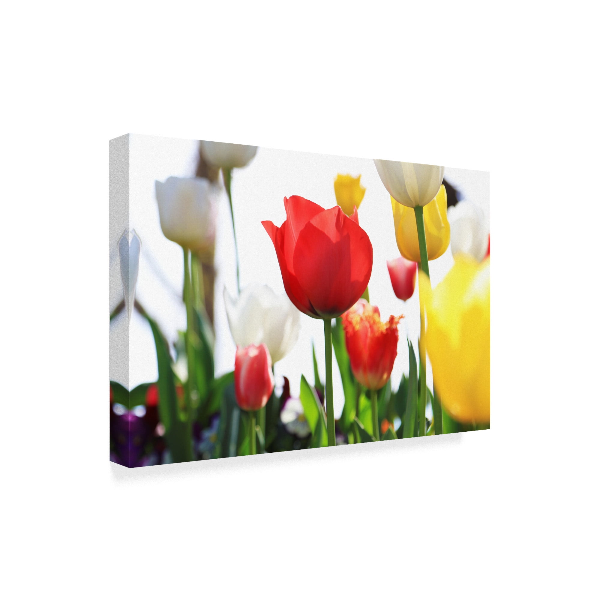 Trademark Fine Art 'Red White And Yellow' Canvas Art by Incredi